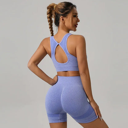 Knitted Yoga Set Sports Bra High Waist Shorts Fitness Outfit