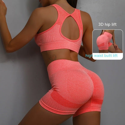SPORTS BRA & SHORTS SCRUNCH GYM SET - LUNA